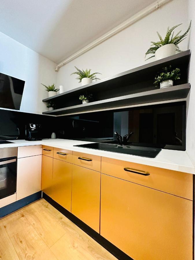 Kharisma Apartment-Free Parking-Ultracentral Клуж-Напока Екстериор снимка